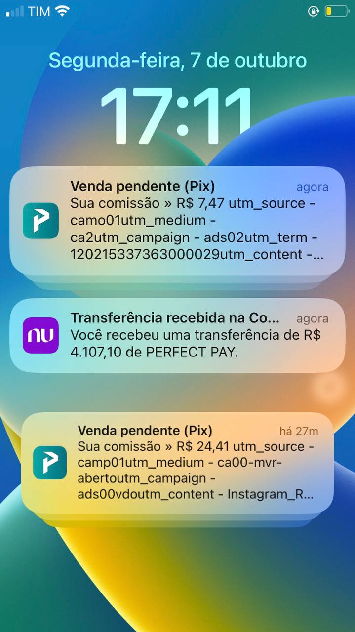 Print de resultado 13